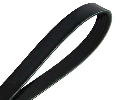 Keilrippenriemen MAPCO 251360