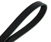 Keilrippenriemen MAPCO 251360