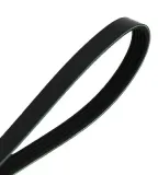 Keilrippenriemen MAPCO 251370