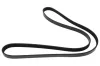 Keilrippenriemen MAPCO 251397
