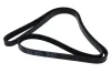 Keilrippenriemen MAPCO 251610