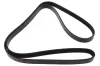 Keilrippenriemen MAPCO 251646