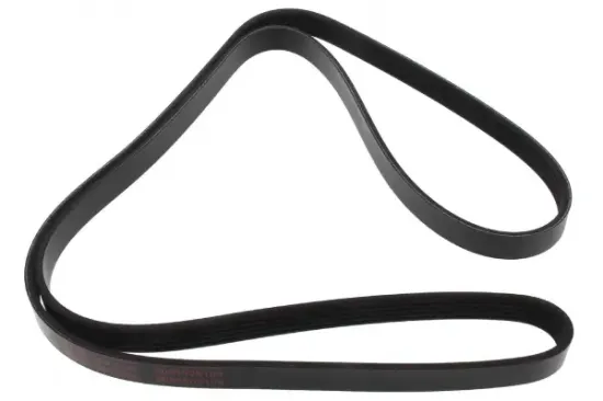 Keilrippenriemen MAPCO 251646 Bild Keilrippenriemen MAPCO 251646