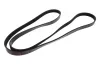 Keilrippenriemen MAPCO 251720