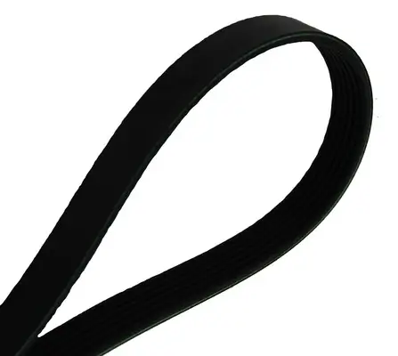 Keilrippenriemen MAPCO 260900 Bild Keilrippenriemen MAPCO 260900