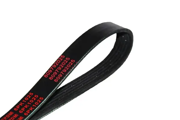 Keilrippenriemen MAPCO 261025