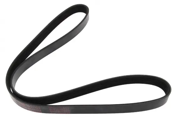 Keilrippenriemen MAPCO 261163