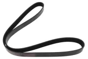 Keilrippenriemen MAPCO 261163
