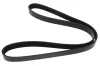 Keilrippenriemen MAPCO 261180