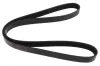 Keilrippenriemen MAPCO 261190