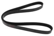 Keilrippenriemen MAPCO 261190