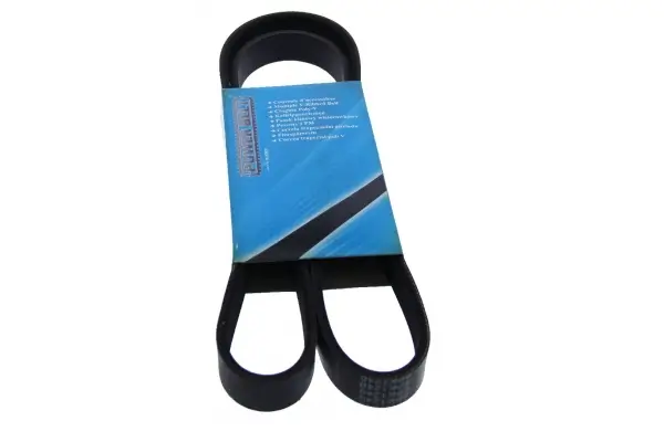 Keilrippenriemen MAPCO 261240