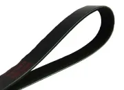 Keilrippenriemen MAPCO 261270