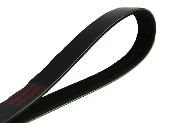 Keilrippenriemen MAPCO 261270 Bild Keilrippenriemen MAPCO 261270