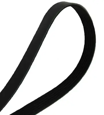 Keilrippenriemen MAPCO 261310 Bild Keilrippenriemen MAPCO 261310