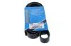 Keilrippenriemen MAPCO 261330
