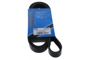 Keilrippenriemen MAPCO 261520