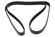 Keilrippenriemen MAPCO 261590