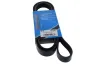 Keilrippenriemen MAPCO 261690