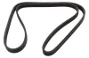 Keilrippenriemen MAPCO 261841D