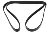 Keilrippenriemen MAPCO 261863