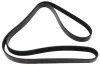 Keilrippenriemen MAPCO 261880
