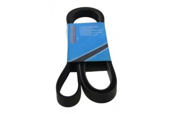 Keilrippenriemen MAPCO 261965 Bild Keilrippenriemen MAPCO 261965