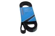 Keilrippenriemen MAPCO 262310