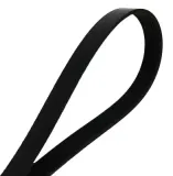 Keilrippenriemen MAPCO 262460