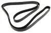 Keilrippenriemen MAPCO 262465
