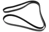 Keilrippenriemen MAPCO 262498