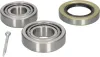 Radlagersatz Hinterachse beidseitig MAPCO 26546 Bild Radlagersatz Hinterachse beidseitig MAPCO 26546