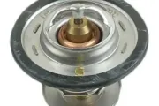 Thermostat, Kühlmittel MAPCO 28053