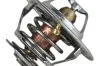 Thermostat, Kühlmittel MAPCO 28063