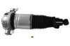 Luftfederbein Hinterachse rechts MAPCO 40836 Bild Luftfederbein Hinterachse rechts MAPCO 40836