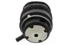 Luftfeder, Fahrwerk Hinterachse links MAPCO 40882 Bild Luftfeder, Fahrwerk Hinterachse links MAPCO 40882