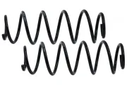 Fahrwerkssatz, Federn Hinterachse MAPCO 71841/2