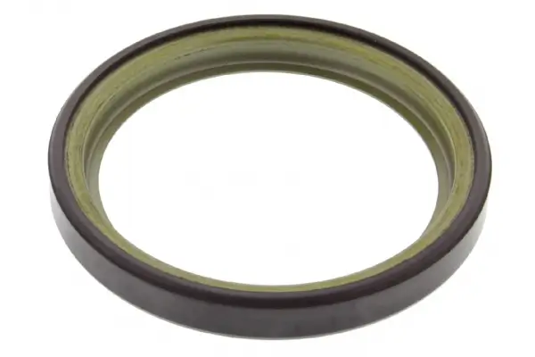 Sensorring, ABS Hinterachse beidseitig MAPCO 76102