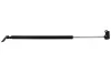 Gasfeder, Koffer-/Laderaum rechts MAPCO 91561 Bild Gasfeder, Koffer-/Laderaum rechts MAPCO 91561