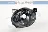 Nebelscheinwerfer links JOHNS 95 55 29-4