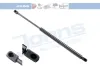 Gasfeder, Koffer-/Laderaum beidseitig JOHNS 95 55 95-91