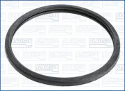 Dichtung, Thermostat AJUSA 00813100