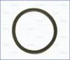 Dichtung, Thermostat AJUSA 01193700