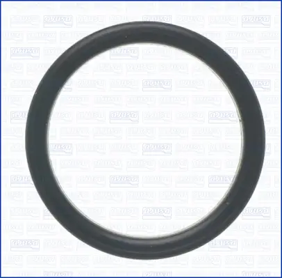 Dichtung, Wasserpumpe AJUSA 01495000