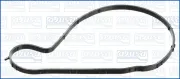 Dichtung, Wasserpumpe AJUSA 01725600