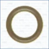 Dichtung, Unterdruckpumpe AJUSA 16001300