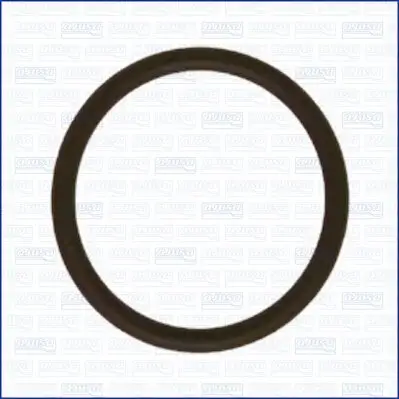 Dichtung, Unterdruck-Anschlussstutzen BKV AJUSA 16011500