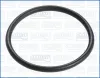 Dichtung, Wasserpumpe AJUSA 16025200