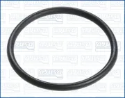 Dichtung, Wasserpumpe AJUSA 16025200