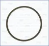 Dichtung, Ansaugkrümmer AJUSA 16033800